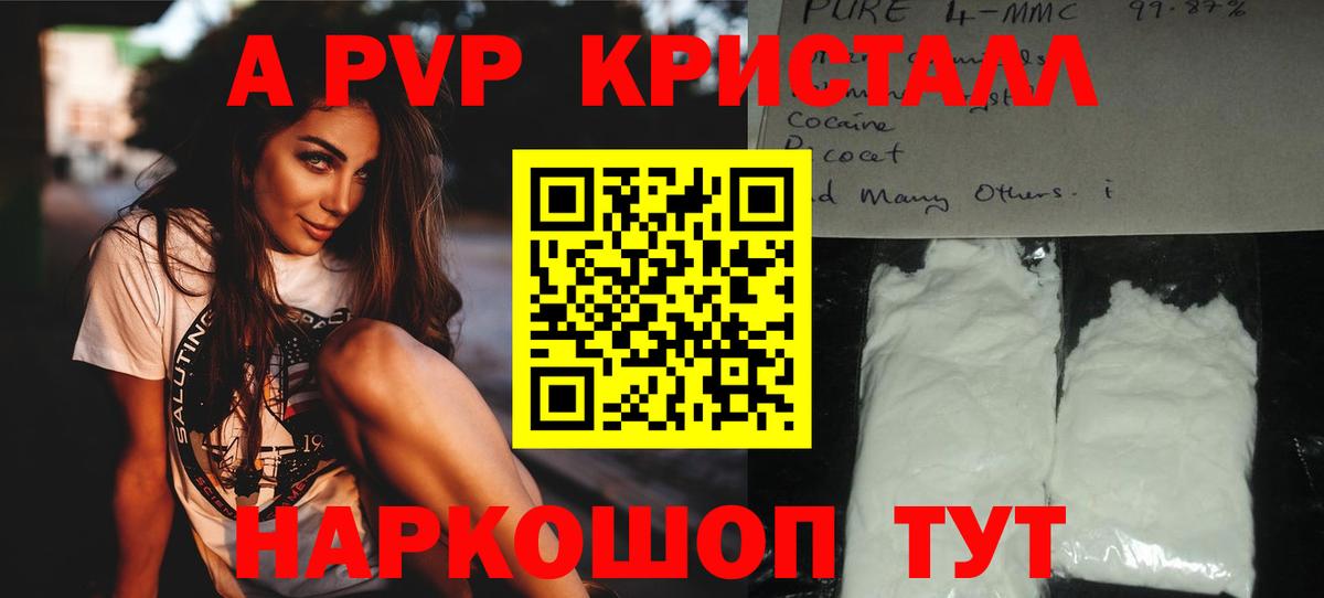 Альфа ПВП СК КРИС Кизляр
