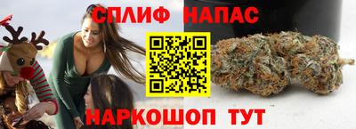 СК Краснодар